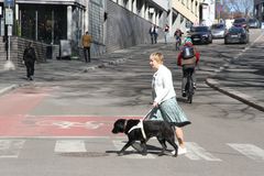 Gry Berg assisteres av førerhunden Narnia i trafikken. Foto: Jørgen Juul