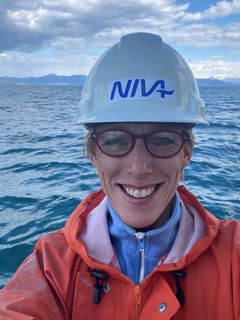 Seniorforsker Hilde Trannum ved Norsk institutt for vannforskning (NIVA) har de seneste årene fulgt nøye med på bunnfaunaens tilstand i Grenlandsfjordene. (Foto: NIVA)