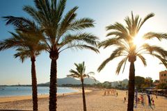 BARNAS FAVORITT: Alcudia er førstevalget for mange barnefamilier som ferierer på Mallorca.