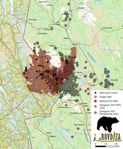 Bjørnebinna HE7, eller Ljøra som hun ble kalt av det skandinaviske bjørneprosjektet, etablerte seg i grenseområdene i Trysil (rødt), like vest for sin mor (grønt), og mor og datter har delvis overlappende leveområder (mørkerødt). HE7 er påvist en rekke ganger i området gjennom analyser av innsamlede DNA-prøver (sorte prikker) og er godt kjent for den DNA-baserte overvåkingen av brunbjørn. Kart: Rovdata.
