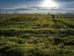 Matproduksjonen verden over trues av klimaendringer. Klimatilpasning er nødvendig. Foto: Tine Poppe