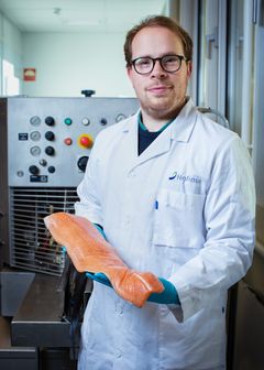 Jens-Erik Dessen har også undersøkt om laksen som har fått ulikt fôr for hadde vesentlige forskjeller i kvalitetsegenskaper som fasthet, muskelspalting og farge. Det hadde den ikke. Foto: Joe Urrutia © Nofima.