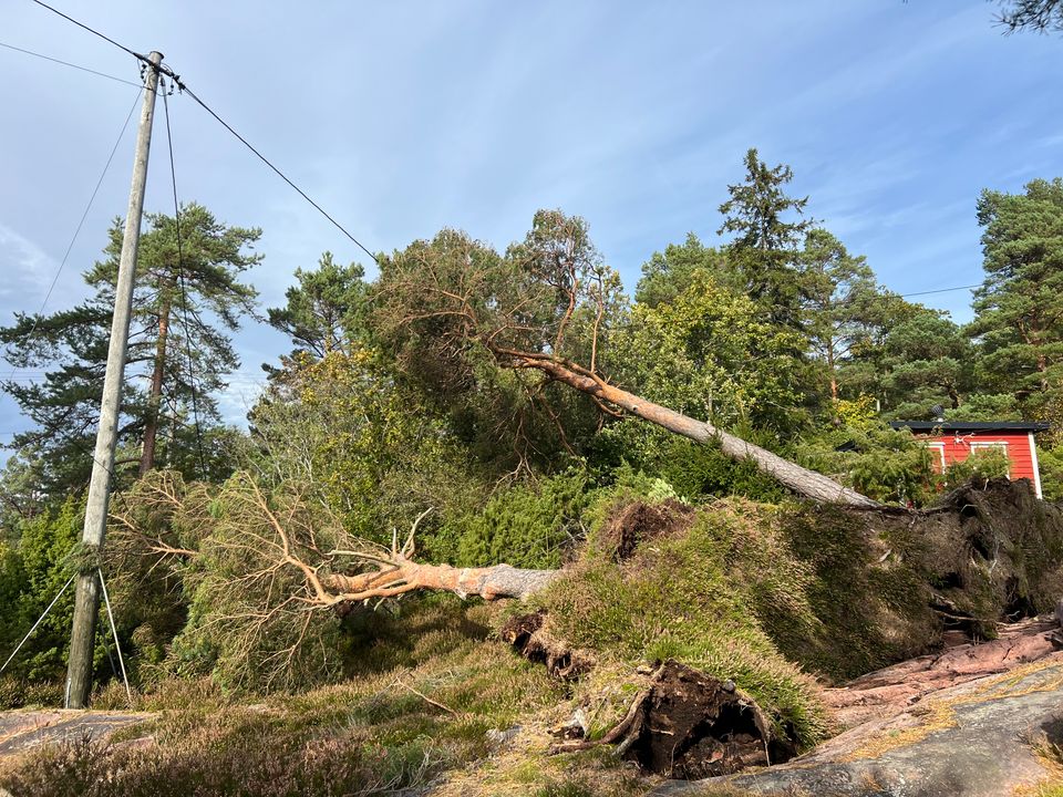 Trefall over strømlinje