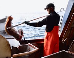 Fiskerinæringen skaper store verdier for hele landet. (Foto: Odd Kristian Dahle/Fiskebåt).
