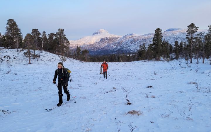 Varierende skiføre i Lønsdal nord for Saltfjellet Foto: Jim Tovås Kristensen