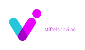 Stiftelsen VI