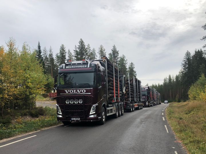 I testkjøringen på Finnskogen deltok sju-akslede 60 tonns tømmervogntog og ni-akslede tømmervogntog på 74 tonn. Foto: Silja Lena Løken