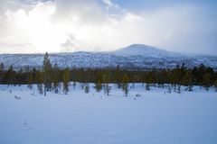 Nesen i Dividalen - snøføyke på toppene Foto: Fredrik Julius Jenssen