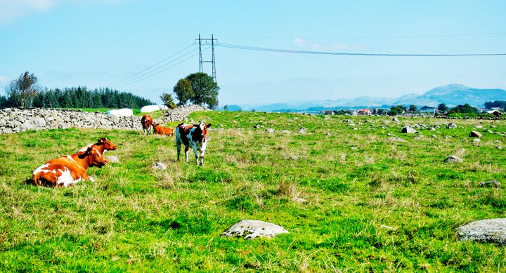 Lyse og ABB har inngått en ny rammeavtale som sikrer kortreiste og smarte produkter for pålitelig og fleksiel distribusjon av strøm i Sør-Rogaland (Foto Lyse).