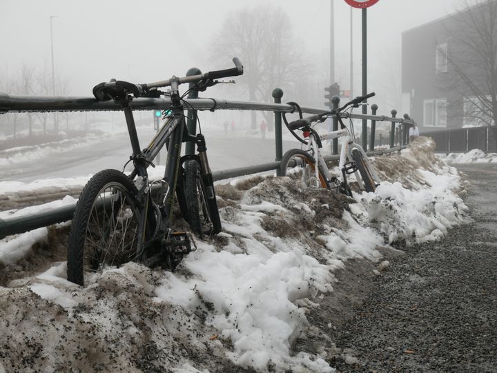 Sykkeltyvene stjeler nå hele året, ikke bare i de varme månedene, ifølge forsikringsselskapet If. (Foto: If)