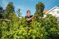 Finalist Astrid Lier Lømuld, daglig leder i Askim frukt- og bærpresseri. Foto: Michael Johnsen