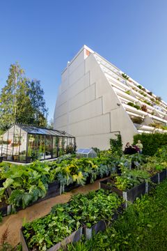 Hederlig omtale til Tokerudåsen boligsameie i Oslo. Foto: Thomas Bjørnflaten/Nyebilder