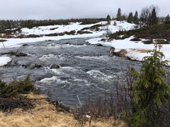 Snøsmelting i Valdres. Foto: NVE.