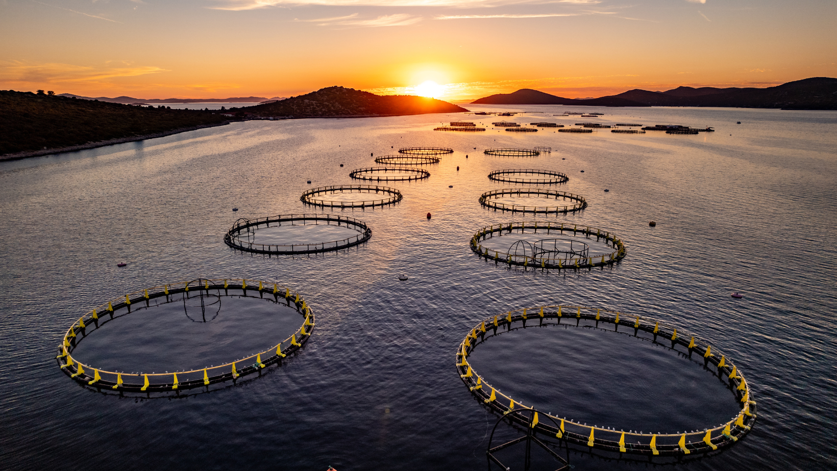 ASC - Aquaculture Stewardship Council