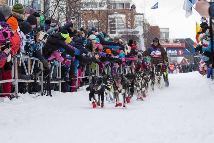 Fra Finnmarksløpet i 2016. Foto: Tommy Skum Hansen/UiT