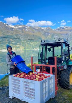 Hardangerbonden Ingrid er opptatt av rene smaker. Derfor bruker de kun epler fra egen gård, og rendyrker sideren til hver enkelt én eplesort. For andre gang er de med finalen i Det Norske Måltid. Foto: Hardangerbonden