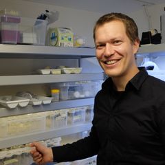 Eivind Undheim har hyllevis av larver i små bokser på laboratoriet. Foto: Eivind Torgersen/UiO