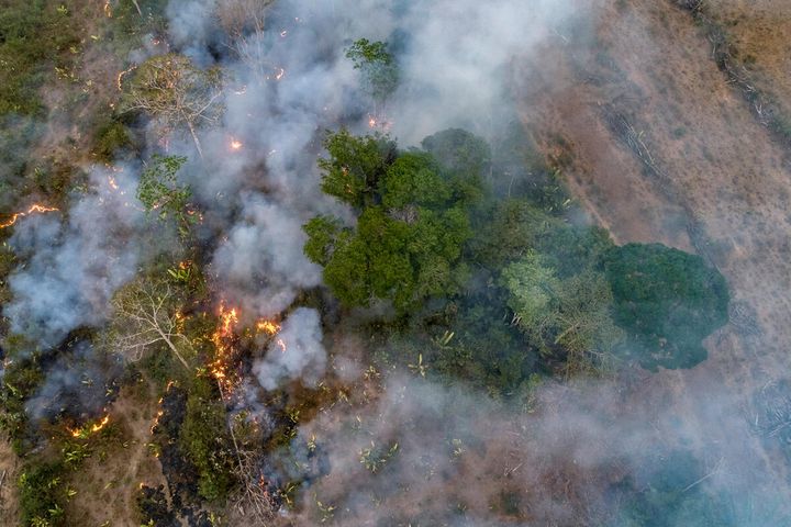 Skog tilsvarende én fotballbane forsvinner hvert annet sekund. På bildet: Avskoging i Amazonas, delstaten Porto Velho, Rondonia. Foto: Andre Dib / WWF-Brazil
