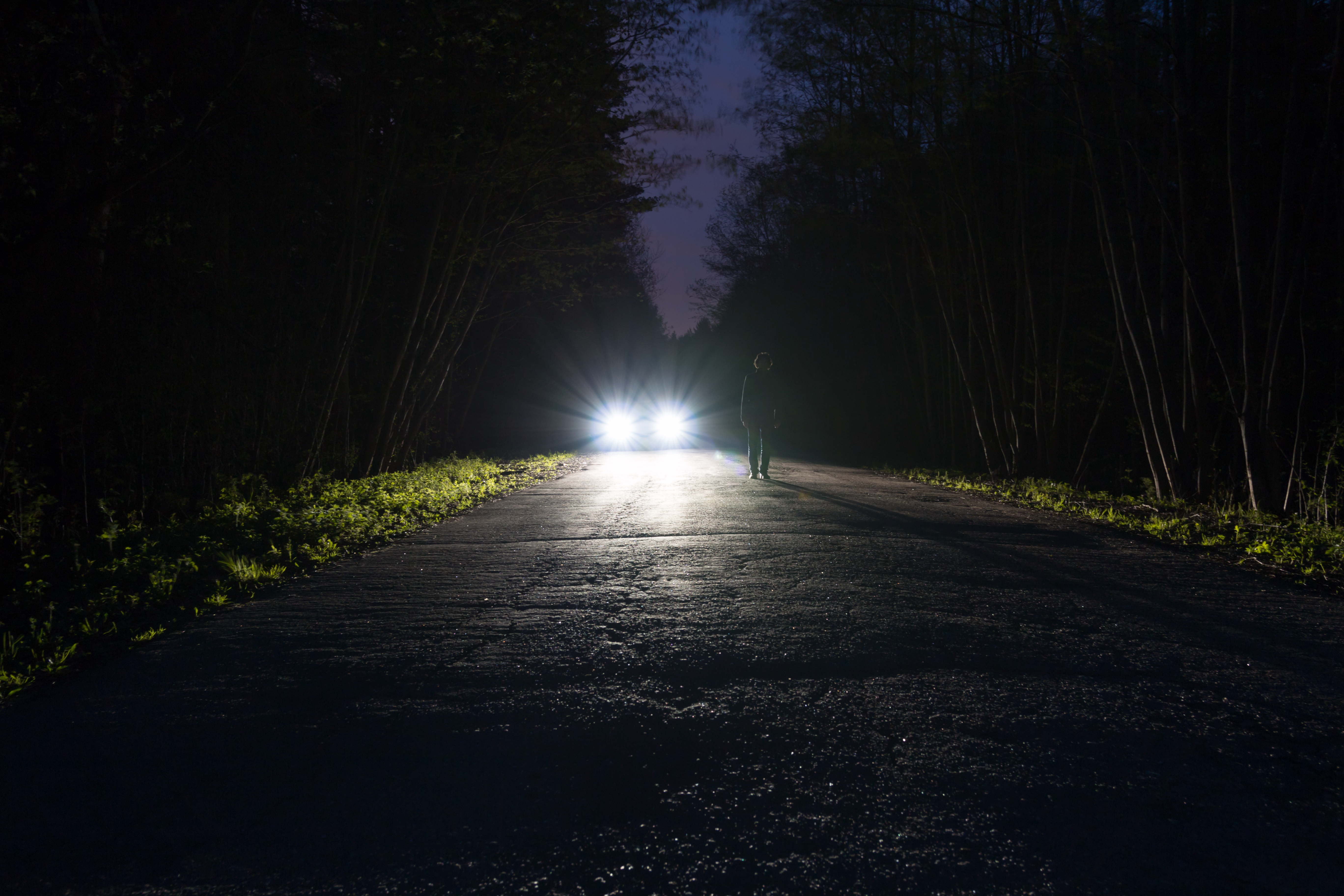 Ночь дорога свет фар. Ночная дорога в лесу. Машина в лесу ночью. Обочина дороги ночью. Лесная дорога ночью.