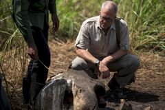National Geographic-journalist Bryan Christy oppsøker åstedet til en rekke drepte elefanter. Støttennene er saget av med motorsag og hodeskallene viser skuddskader fra oven - som indikerer en ny form for jakt hvor de bruker helikopter. Foto: National Geographic / Pablo Durana.