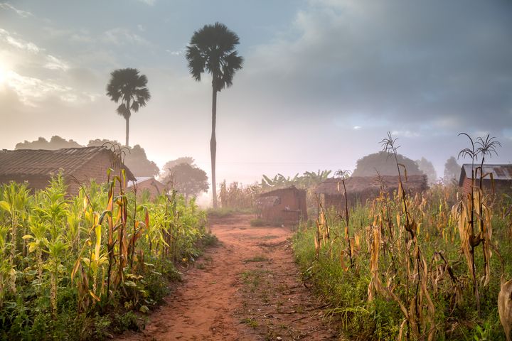 Malawiske myndigheter innfører strenge tiltak mot korona, og stenger de aller fleste funksjonene i samfunnet. Foto: Tine Poppe for Utviklingsfondet.