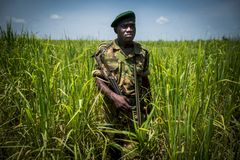 I Garamba nasjonalpark i Kongo er oppsynsmennene på konstant jakt etter krypskytere som dreper elefanter, plyndrer lokalsamfunn og misbruker og dreper mennesker som står i veien. Foto: National Geographic / Pablo Durana.