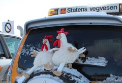 Vær litt kylling i trafikken, oppfordrer vegdirektøren - som vil ha folk trygt frem og tilbake i påsketrafikken. (Foto: Torild Heimdal)