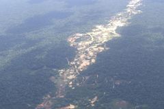 AMAZONAS: Amazonas er hjem til omtrent 10 % av alle plante- og dyrearter i verden. I bildet vises et område med gullgraving. Foto: Suzette Flantua