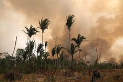 Avskoging og tap av leveområder er blant de største driverne for den pågående masseutryddelsen. Bildet viser en av de flere tusen brannene som ble registrert i Amazonas i 2019. 