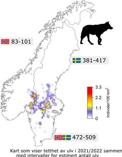 Ulvebestand i Skandinavia. Foto: NMBU