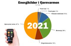 Energiildene brukt i fjernvarmen i 2021. (Kilde: fjernkontrollen.no)