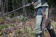 Foto: Sigve Reiso, naturarkivet.no