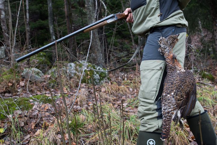 Foto: Sigve Reiso, naturarkivet.no