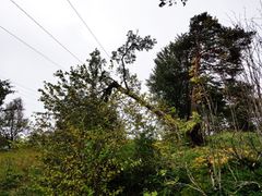 Strømnettet har fått omfattende skader på grunn av ekstremværet, her fra Vallemoen/Halshaug.