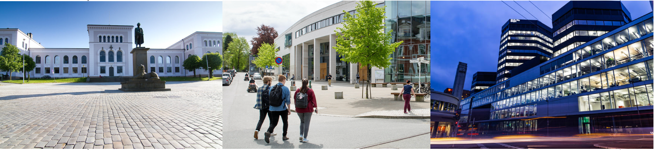 Universitetet i Bergen (UiB)