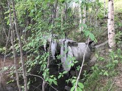 Heradsbygda flomverk - utløpsrør fra pumpestasjon foto_ Multiconsult