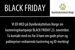 Black Friday-kampanjebilde. Illustrasjon: Dyrebeskyttelsen Norge