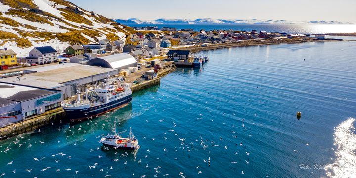 Den kommunale fiskerihavna i Nordvågen i Nordkapp kommune er et av prosjektene som får tilskudd. (Foto: Kjell Bendik Pedersen)