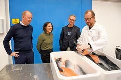 Arild Aakre, salgssjef i Cermaq, mener superkjølt laks krever en holdningsendring. F.v. Arild Aakre, Stine Torheim, Odd Emil Ingebrigtsen og Bjørn Tore Rotabakk. Foto: Rune Stoltz Bertinussen / Nofima