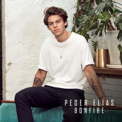Peder Elias "Bonfire" artwork