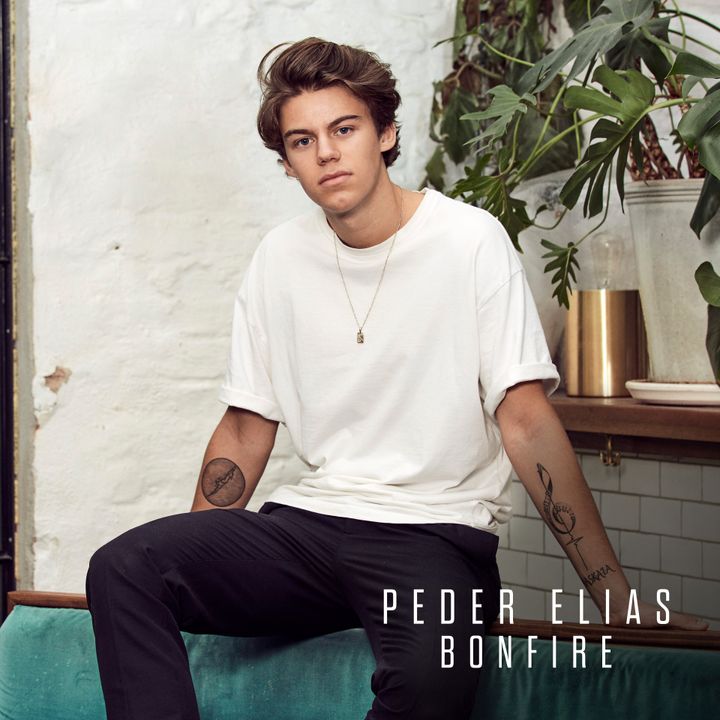 Peder Elias "Bonfire" artwork