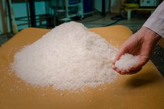 Å kaste det brukte saltet er det ingen grunn til. Salt kan renses og gjenbrukes, sier seniorforsker Grete Lorentzen. Foto: Lars Åke Andersen © Nofima