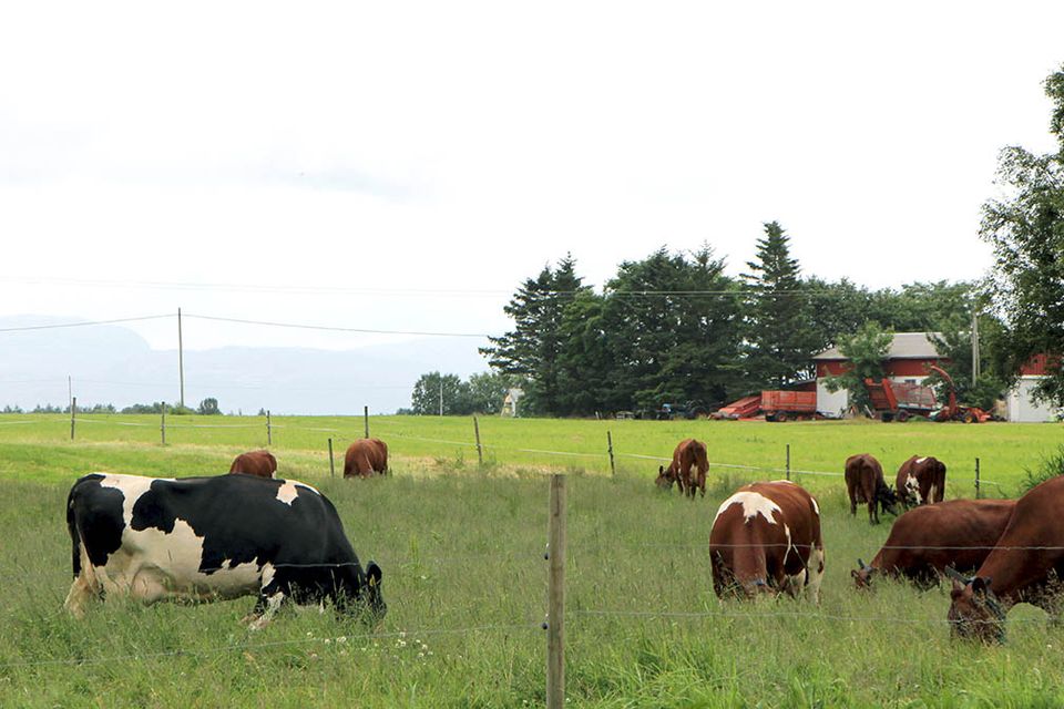 Starter Med Forhandlinger For Landbrukseiendommer På Ørland | Forsvarsbygg