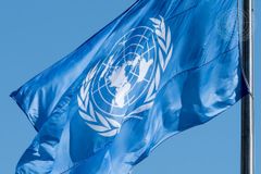 FN-flagget ble offisielt tatt i bruk i 1947. Flagget består av FNs emblem i hvitt mot en blå bakgrunn. Olivengrenene symboliserer fred, og kartet representerer alle verdens land og folk. Foto: UN Photo/Loey Felipe.