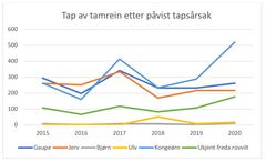 Figur 2 tap av tamrein etter påvist tapsårsak. Grafene viser kun tilfeller der SNO har påvist tapsårsak. Kilde: Rovbase.no/Miljødirektoratet