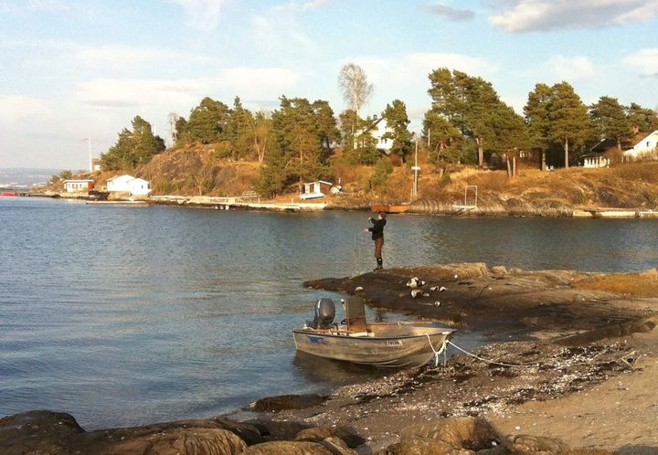 Fjordfisker i Oslofjorden