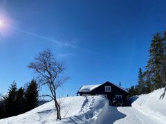 En fersk undersøkelse 
 viser at de aller fleste velger Norge denne vinterferien. Foto: Fremtind.