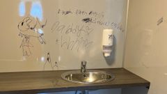 Slik vil vi ikke ha det på rasteplass-toaletter. Foto: Statens vegvesen