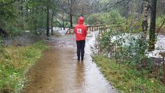 Flom i Trædalselva i Agder i 2017. Foto: NVE