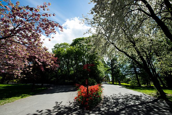 Dra på omvisning i Botanisk hage (gratis hver søndag) – et levende museum med over 5.500 planteslag fra hele verden som brukes i undervisning, formidling og forskning. Foto: UiO/Anders Lien
